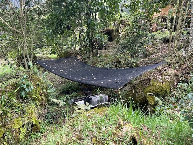 El nicho que encontramos rodeado por tres grandes rocas y la polisombra amarrada a los arbolitos.