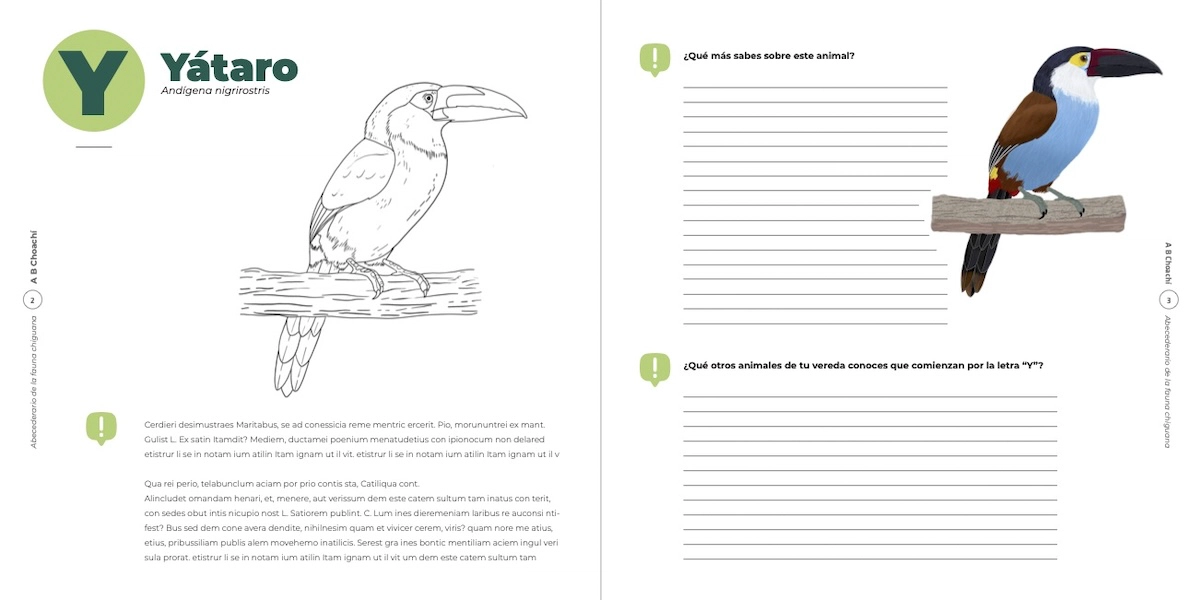 Image of an educational booklet with the image and description of a toucan to color and several questions for the booklet users to answer.